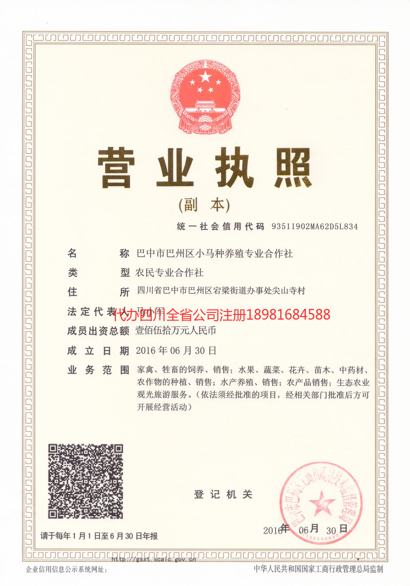 开封开封小马种养殖专业合作社